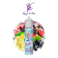 Iceland Raisin Cassis Fruits Rouges 50ml Kate’s by Vaping in Paris